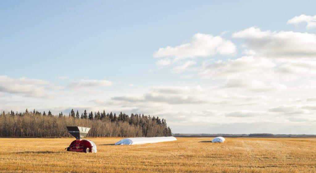 Grain Bag in field
