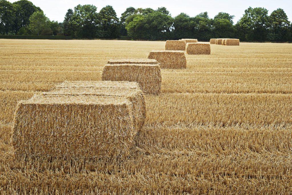 Pope Packaging baler twine with Knot-Tech and TiteLoc technology for secure baling.