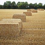 Pope Packaging baler twine with Knot-Tech and TiteLoc technology for secure baling.