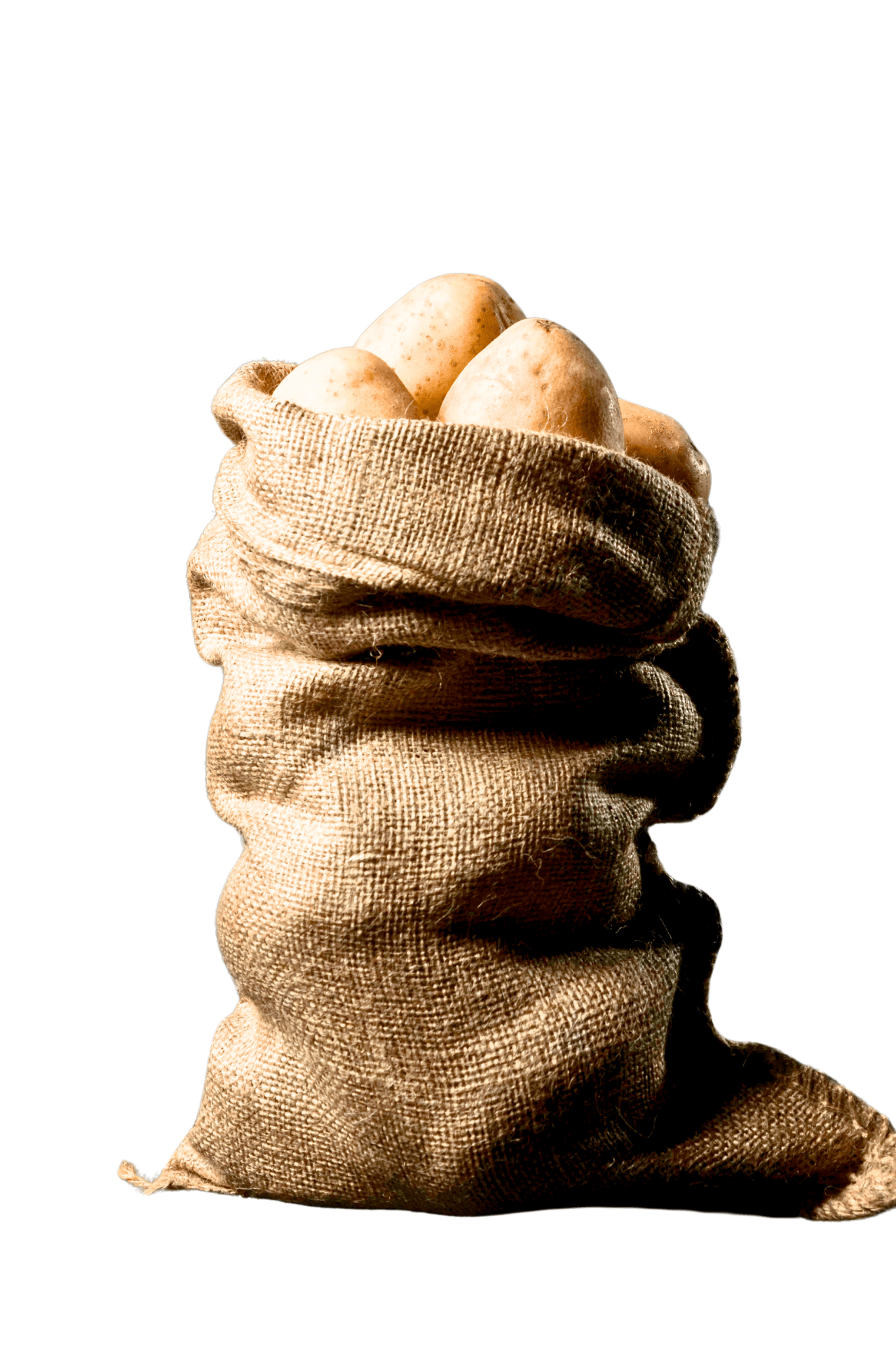 Hessian and jute are natural fibre fabrics known for their breathability, durability, and biodegradability.