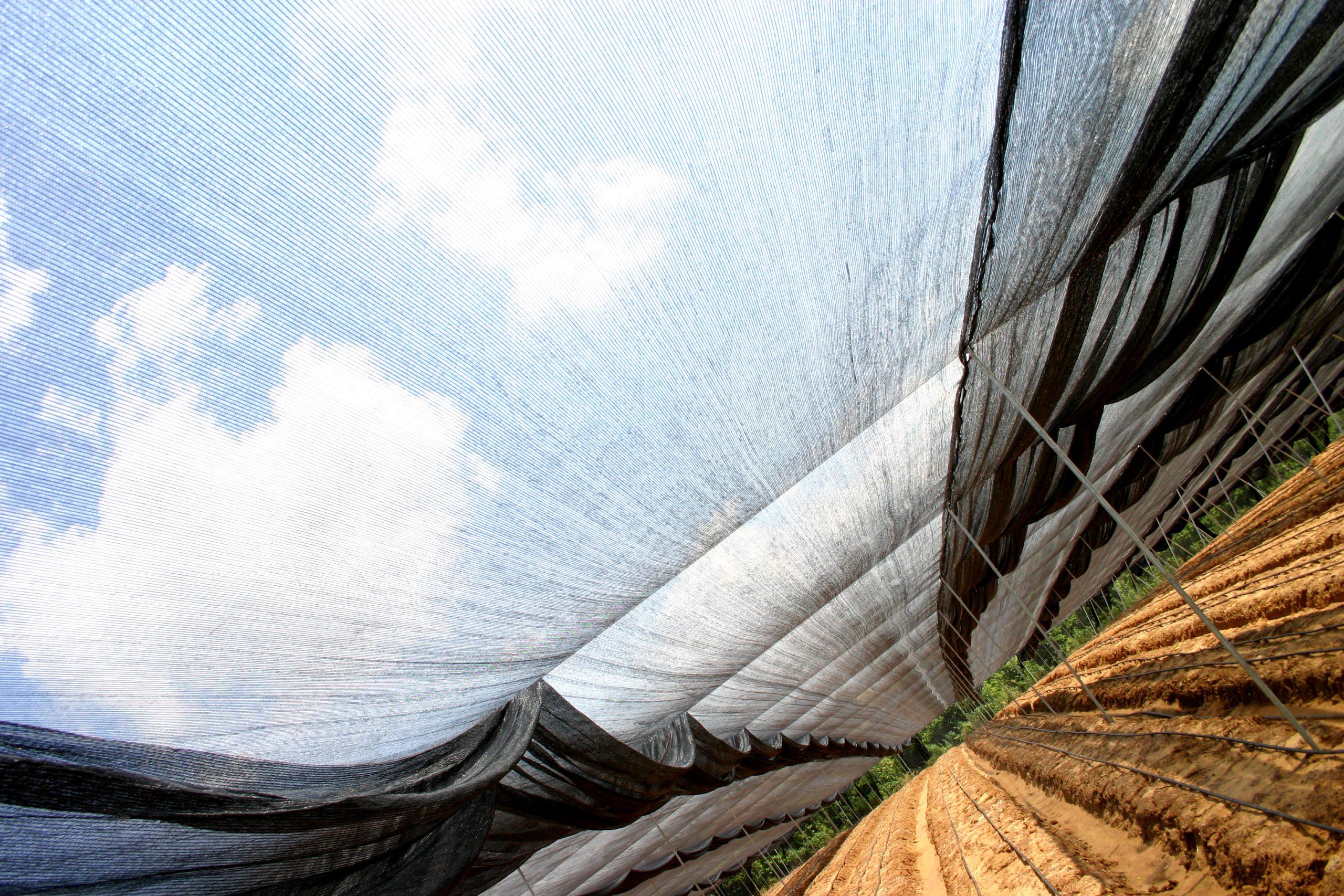 Geotextiles built for the outdoors