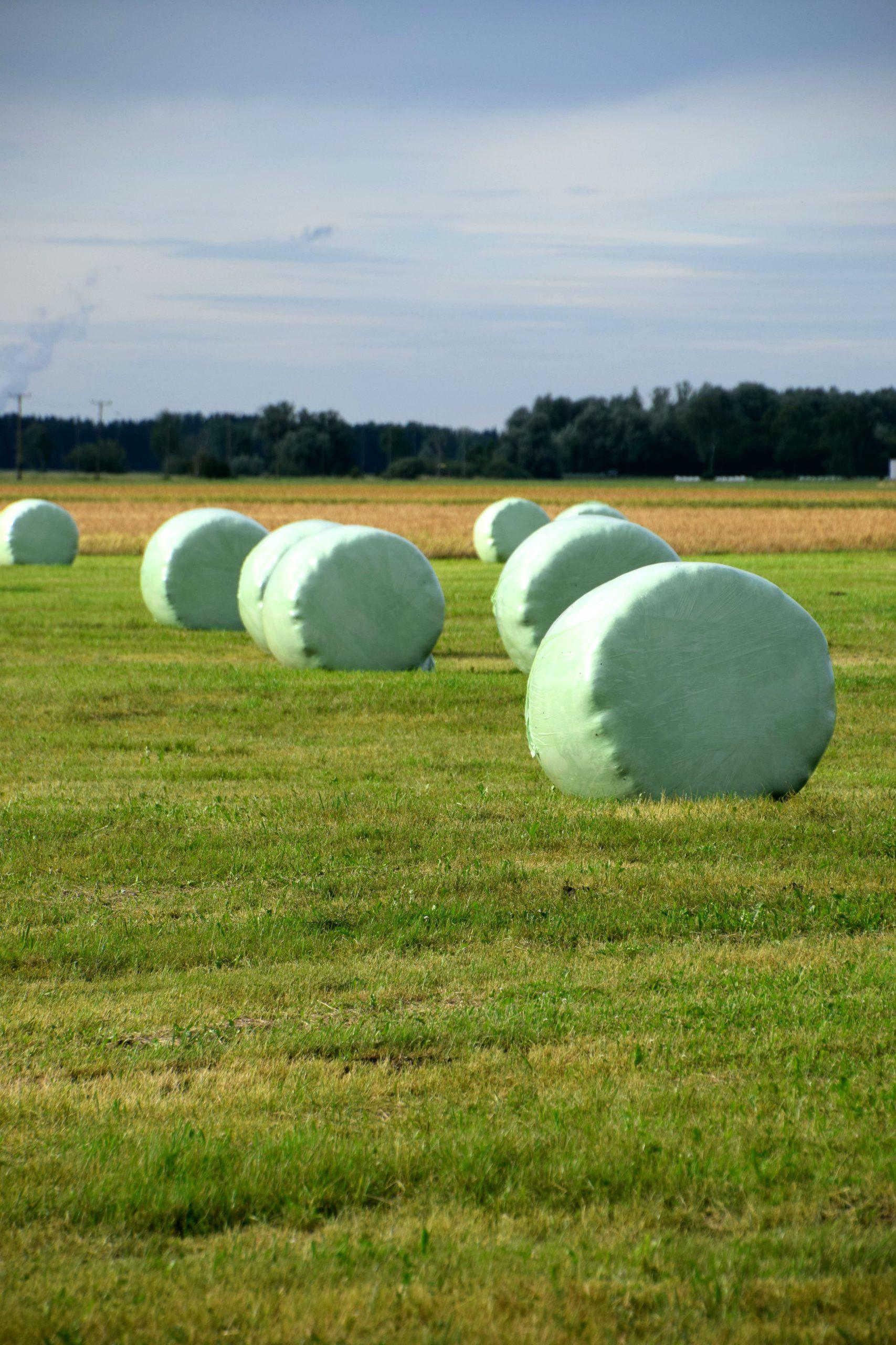 Rolls of silage wrap used for crop storage, offering durable protection for agricultural products and ensuring optimal preservation.