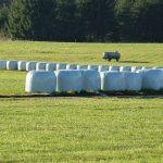 Silage wrap with UV protection