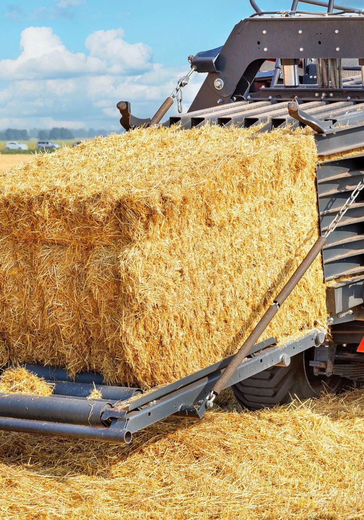 A fragment of an agricultural tractor forming bales of straw against the background of a field.